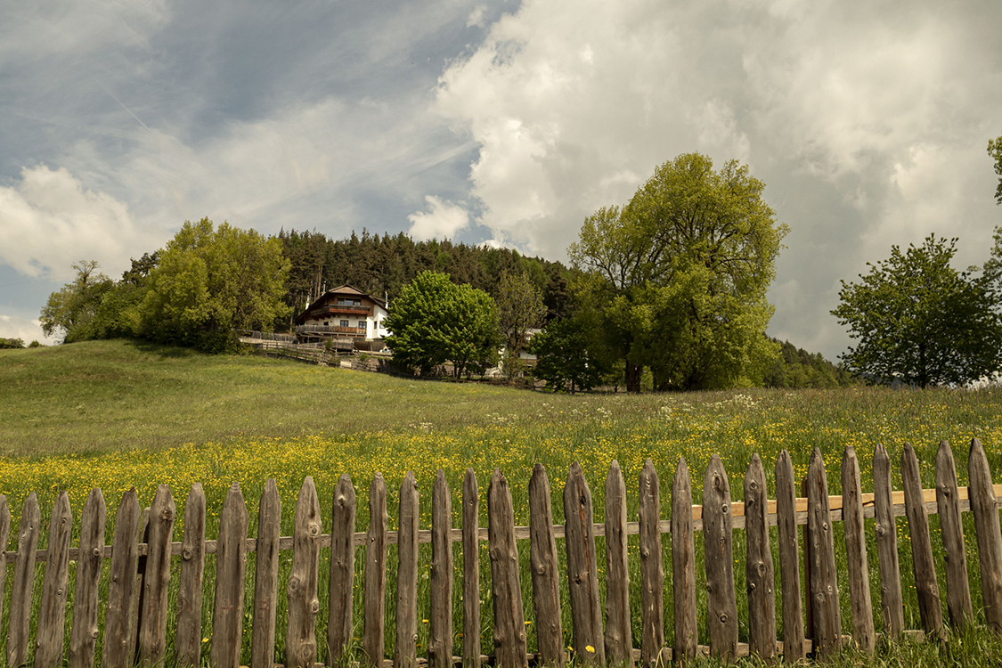 P5120315 - Copia.jpg